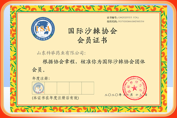 荣誉资质